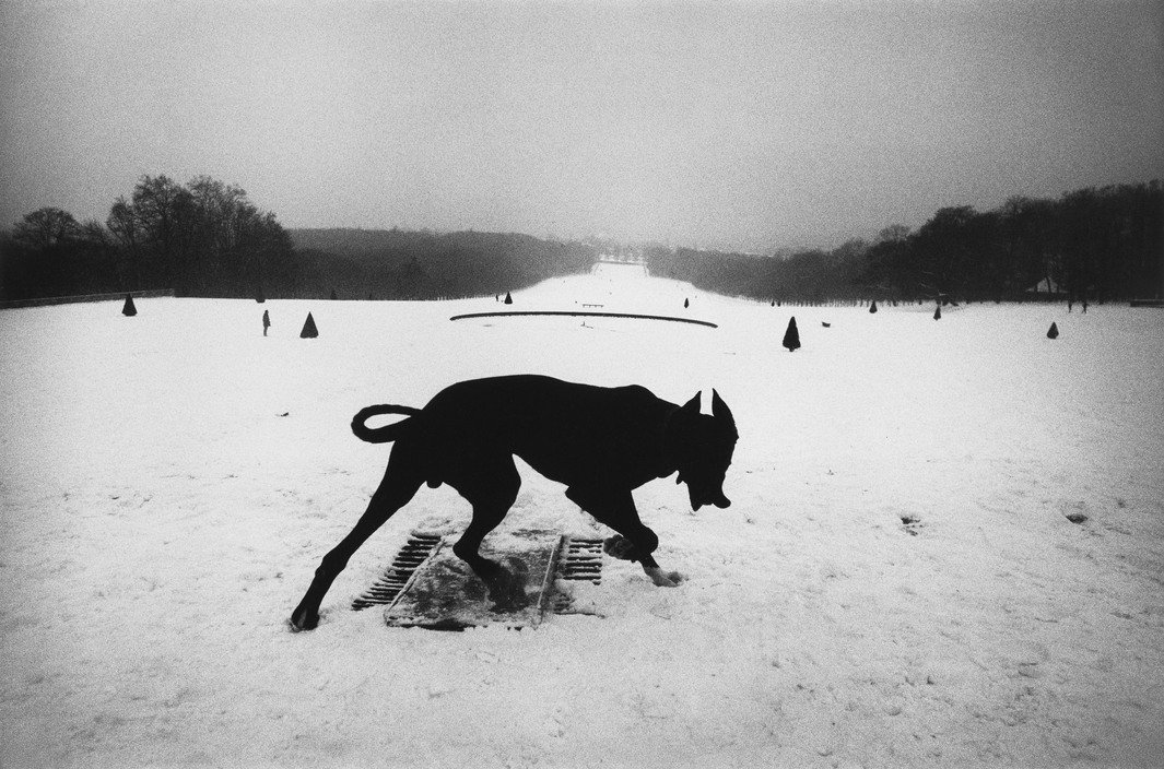 Throughout his career, Josef Koudelka has captured the rhythms and rituals of everyday life. Koudelka was born on this day in 1938—he's one of the greats.
📷 Parc de Sceaux, France, 1987 (via @MagnumPhotos) https://bit.ly/2RLYQLk