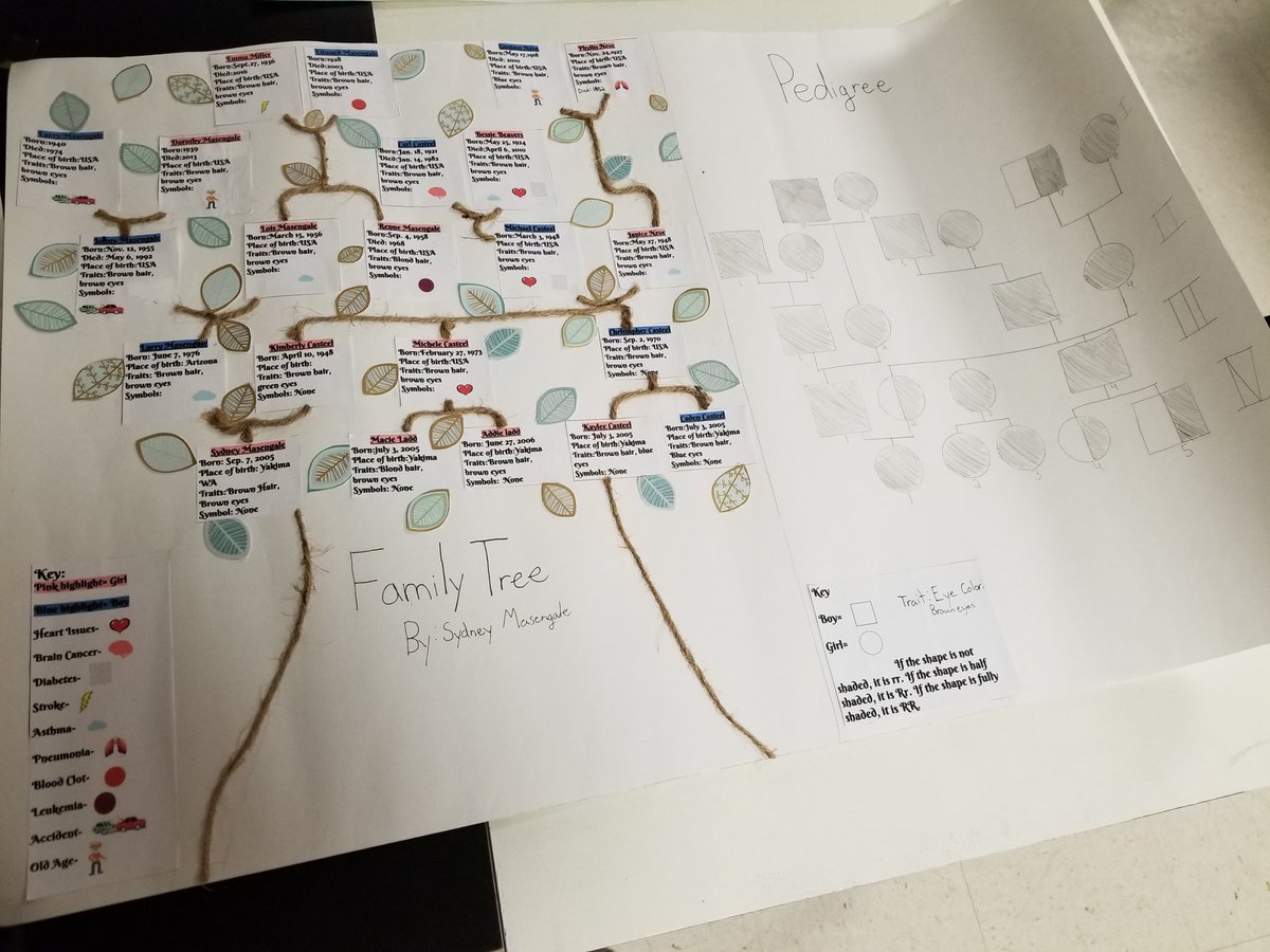My students show demonstrate their understanding of family trees and pedigrees. So impressed! #students #understanding #wvjh