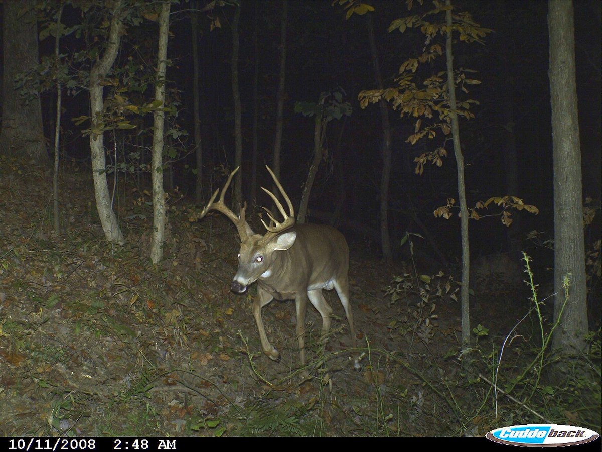 CuddebackTweets's tweet photo. Check out those G2's! #Cuddeback #CuddeThrowBack #TBT https://t.co/Y0tOaaIdGR