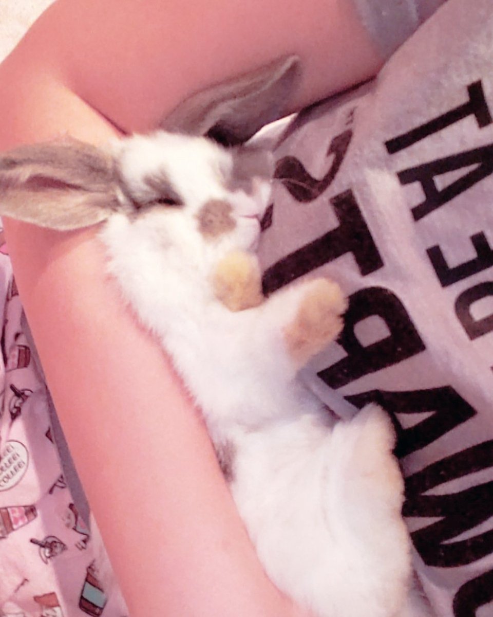 Me holding my mother's rabbit, Eddie ♡ #Rabbit #Bunny #eddierabbit