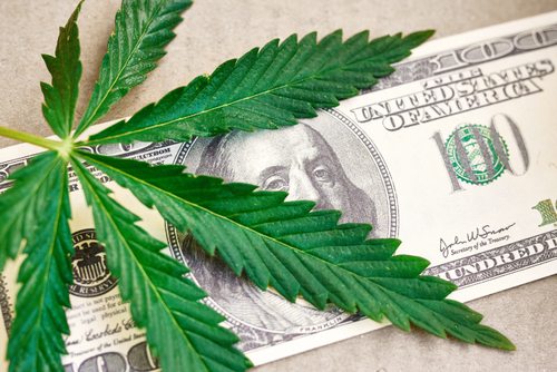 INN_Cannabis's tweet photo. Bridging the Finance Gap: Medical Cannabis Startup Incubators and Accelerators https://t.co/Ko1CcLD2PS @RedfundCapital #cannabis #medicalcannabis #investing https://t.co/PuBpMZzQoi