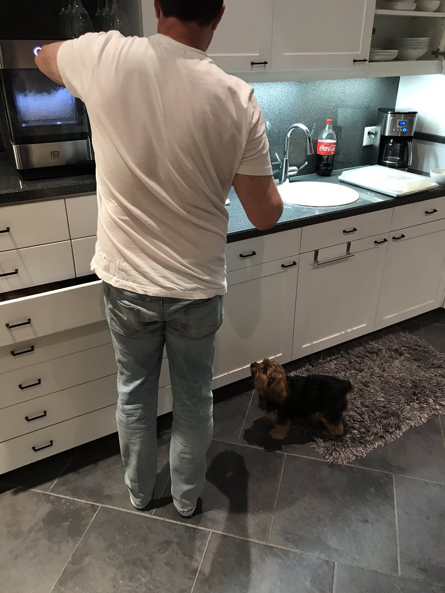 B_Hunta's tweet photo. My family just had a Rock Paper Scissors tournament to see who had to let Chloe out. Dad lost😂 https://t.co/lvPoIazKuR