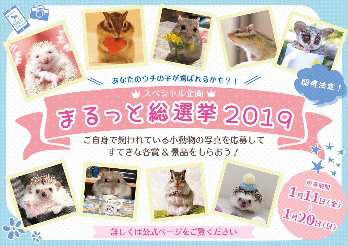 baconcoltd's tweet photo. |#まるっと小動物展 in カレッタ汐留|＼1/20まで開催／
本日から開催です。
まるっと総選挙開催！
<応募賞>#まるっと総選挙 とタグ付けして応募して頂いた方全員を対象に会場限定で投稿画面を見せて頂ければ、 オリジナルポストカードを数量限定でプレゼントします
詳しくは→https://t.co/O6GW0KYMye https://t.co/1h6bBJfZ9c
