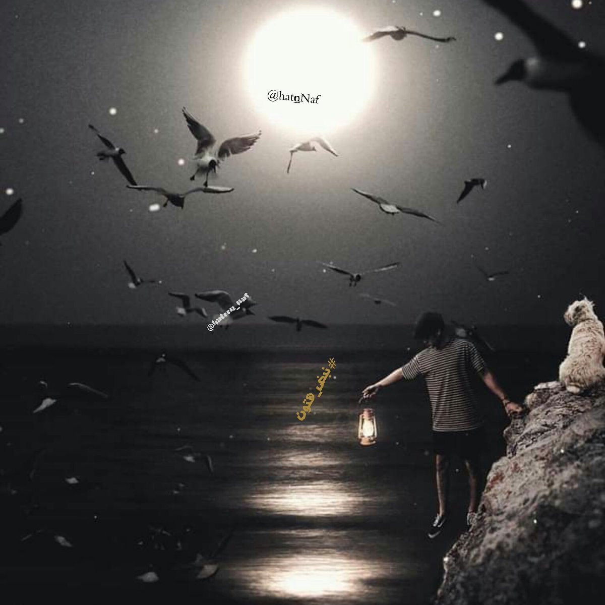 ❥⿻ هۣۗہتۣۗہوۣنۣۗہ⿻❥ tweet media