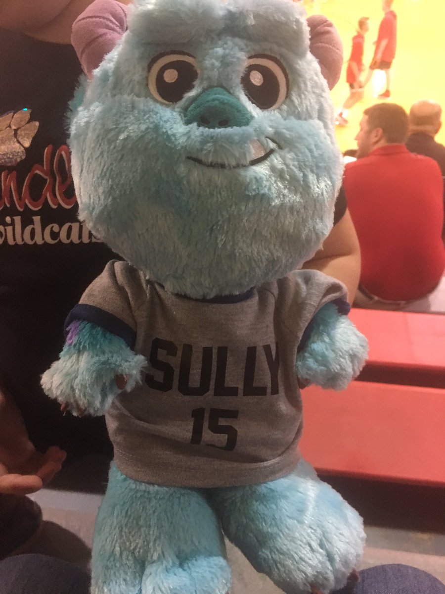 Our love of Disney matches our Love of watching our Sully play basketball #codysownmascot #sullyforthree #monstersincsully.