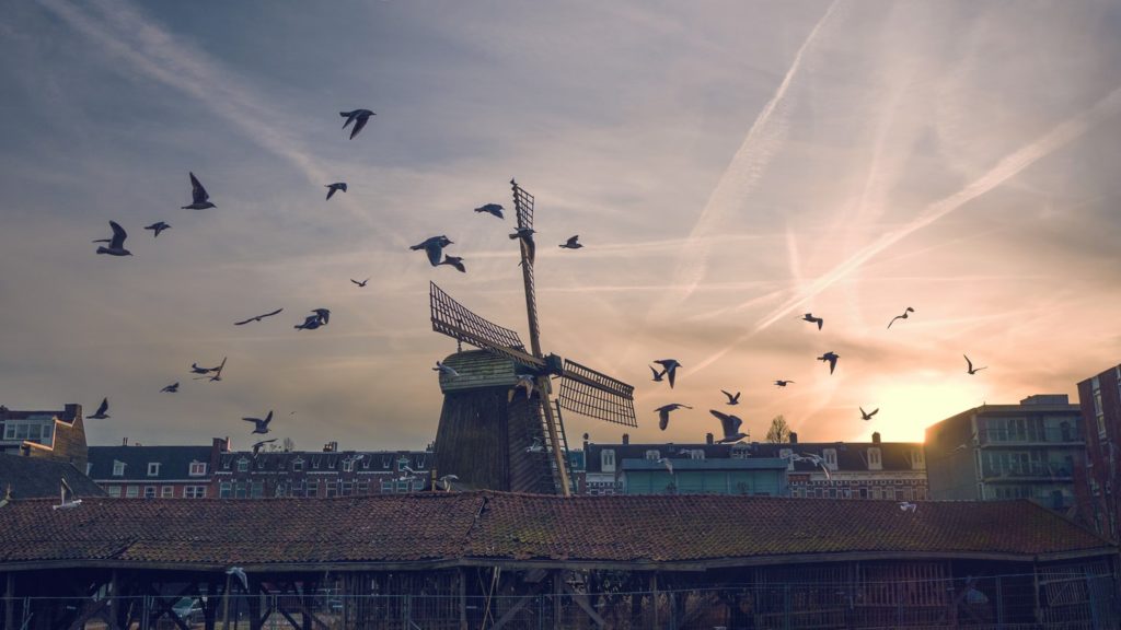 Geef stadsranden een zelfstandige plek in het regionale omgevingsbeleid
 
In het omgevingsbeleid wordt beleid geformuleerd voor de stad en het landelijk gebied. De overgang tussen stad en land is geen strakke... 
groenehartmedia.info/geef-stadsrand…