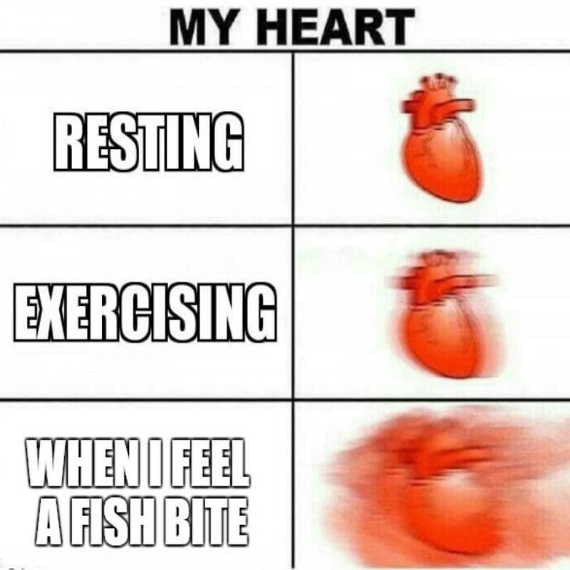 shaddockfishing's tweet photo. Not a doctor but this feels accurate https://t.co/KAMGXrNCnR