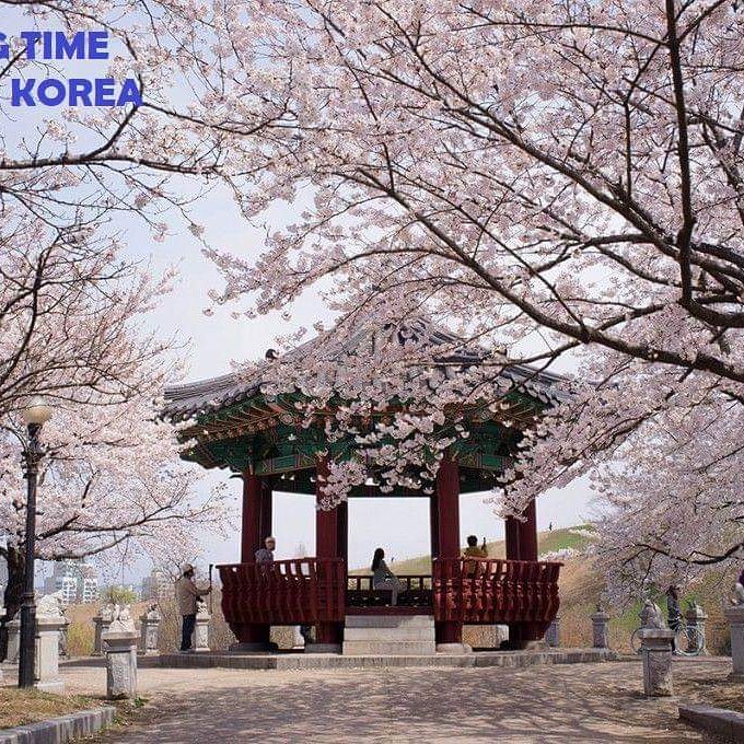 Vacation 2019
Popular Destination
SEOUL, S.KOREA

Request a free quote now!
Email us: mytripolandia@gmail.com

Visit mytripolandia.com/inspirations-g…

#travel #holiday #Asia #Seoul
#Vacation2019
#PopularDestinations