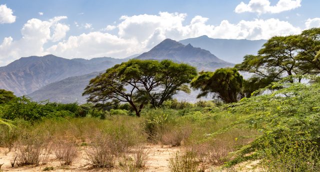 JamboMagazine's tweet photo. We are heading to TURKANA County in 2019! The cradle of mankind and home to hidden treasures
From L. Turkana to the Hot Springs of Kapedo and the Eliye Springs, the county is full of magical destination sites, not forgetting their rich culture. 
Beautiful County, magical country https://t.co/v7dwVNSaKp