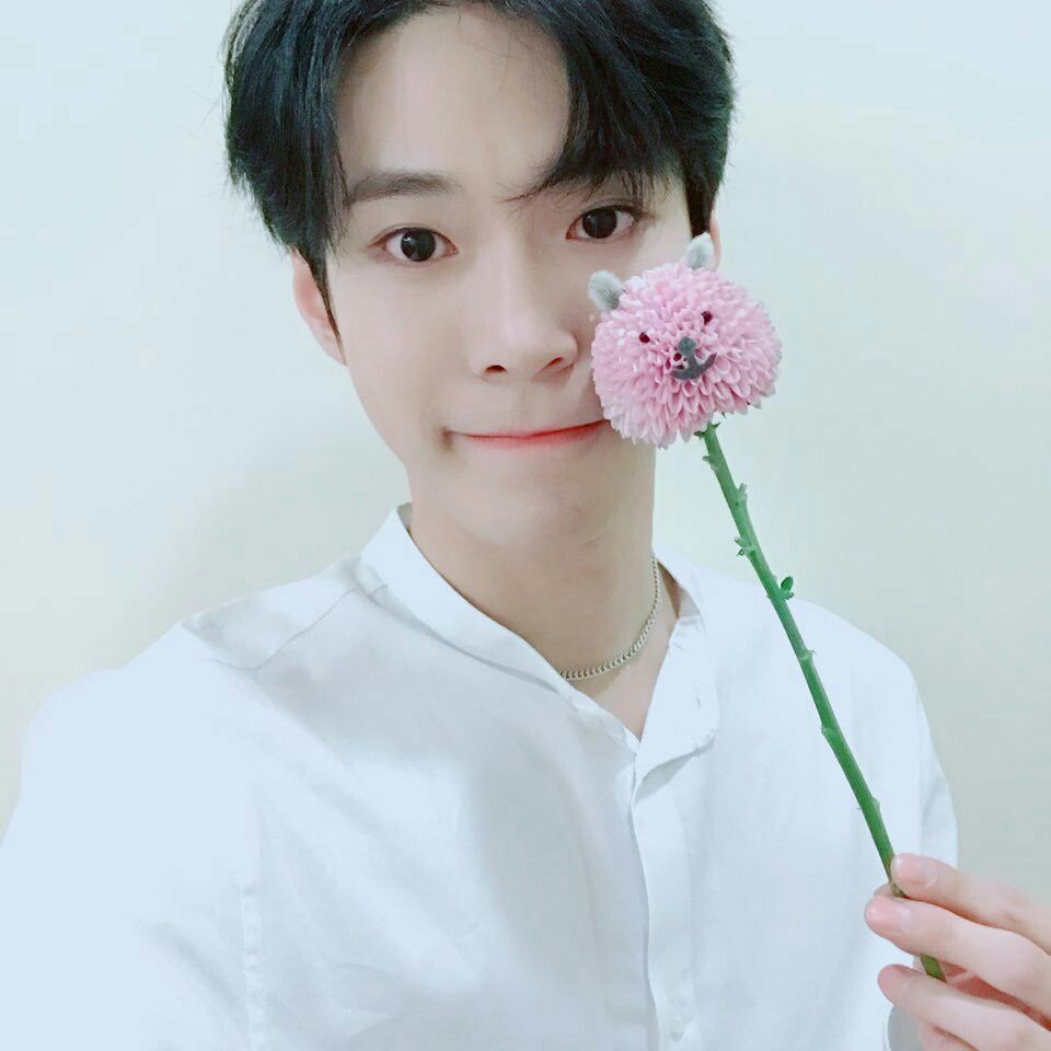 OrchidC_twt's tweet image. 〚 #SUZZI #VEMCOMEBACK 〛♡
Segura coração, estamos voltando...