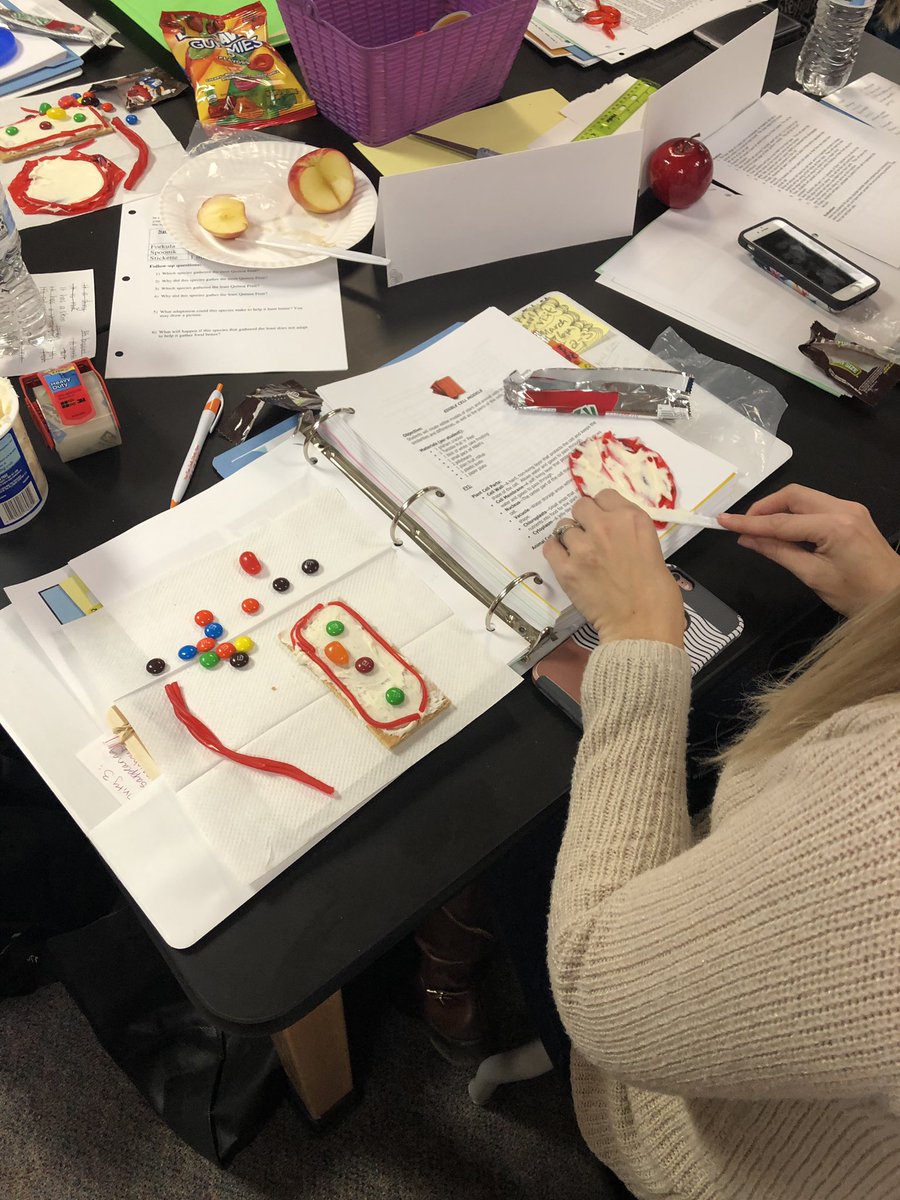 KatelynLeitner1's tweet photo. Edible cell! #jsat5 #scienceinspires https://t.co/0O4djVidoT