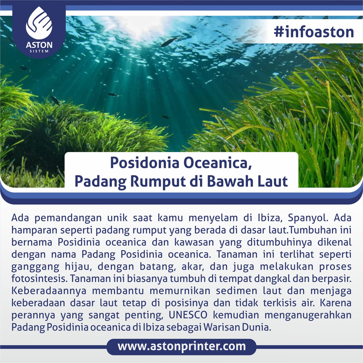 astonsistem's tweet photo. Lihat padang rumput di darat sudah biasa, tapi gimana kalau dibawah laut?
#astonprinter #astonsistem #spanyol #travel #ibiza #infodunia #keajaibandunia https://t.co/oFIEjWNwge