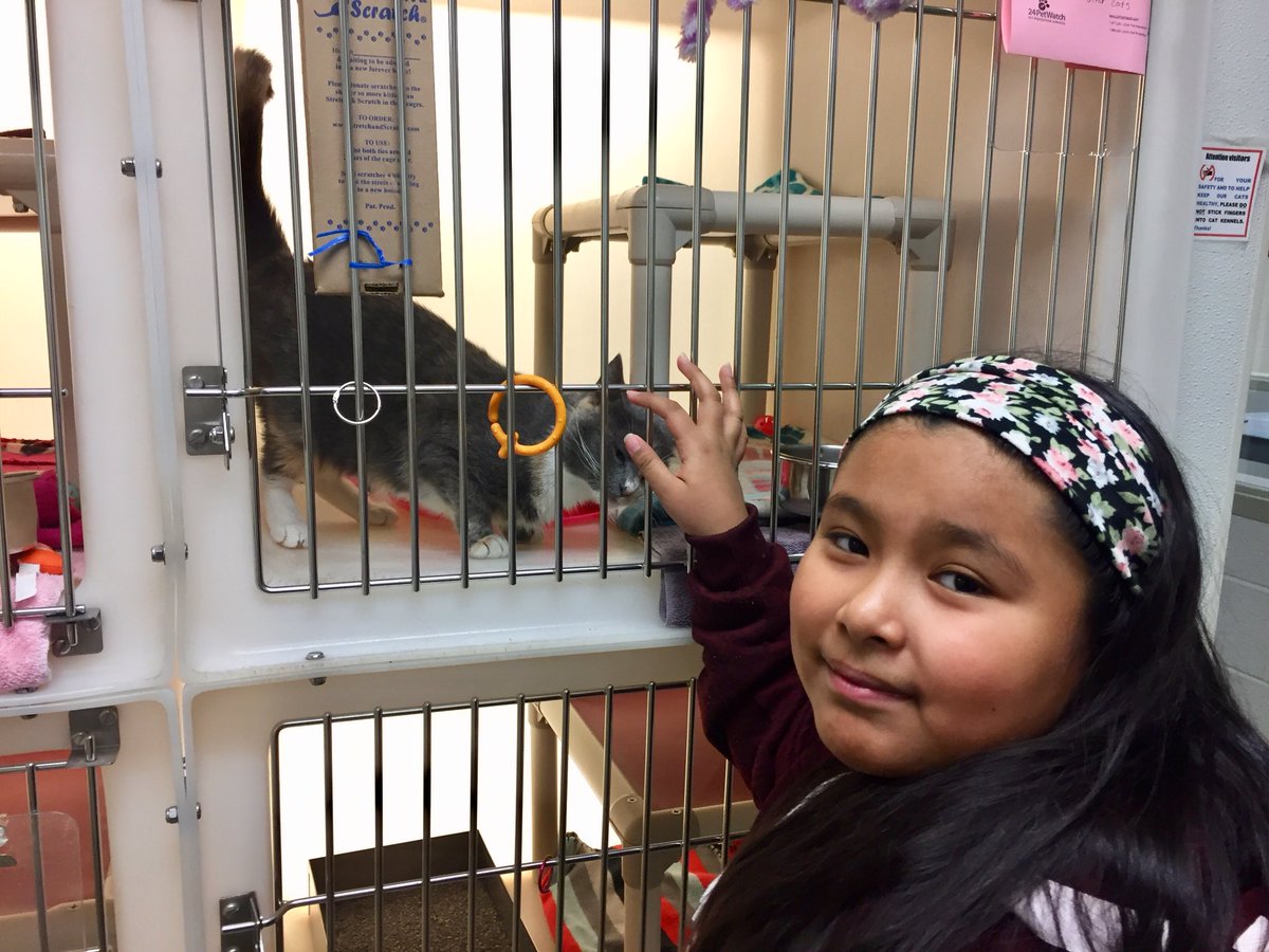 c_laprad's tweet photo. Language is memorable when it is meaningful. These kids elicited help from their peers, hand delivered donations, and bravely spoke with staff to help animals during the Christmas season. Watch out world! #MVESeagles https://t.co/VxGZu0zYRG