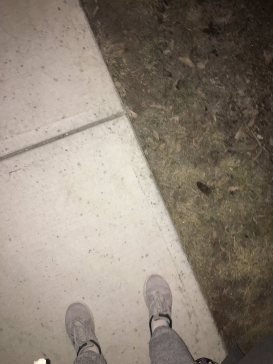 SwitzerMadison's tweet photo. Relaxing but cold walk in the dark @BVHSPE10 https://t.co/YfuAplzQ75