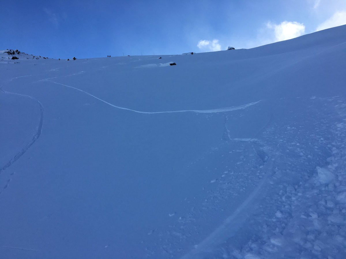 Ride Vancouver tweet media