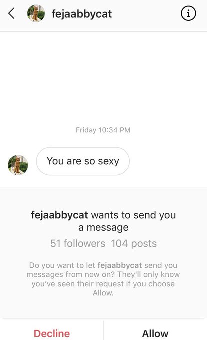 a lesbian cat tried to shoot it&rsquo;s shot at me on instagram https://t.co/0hoHc2VLKm