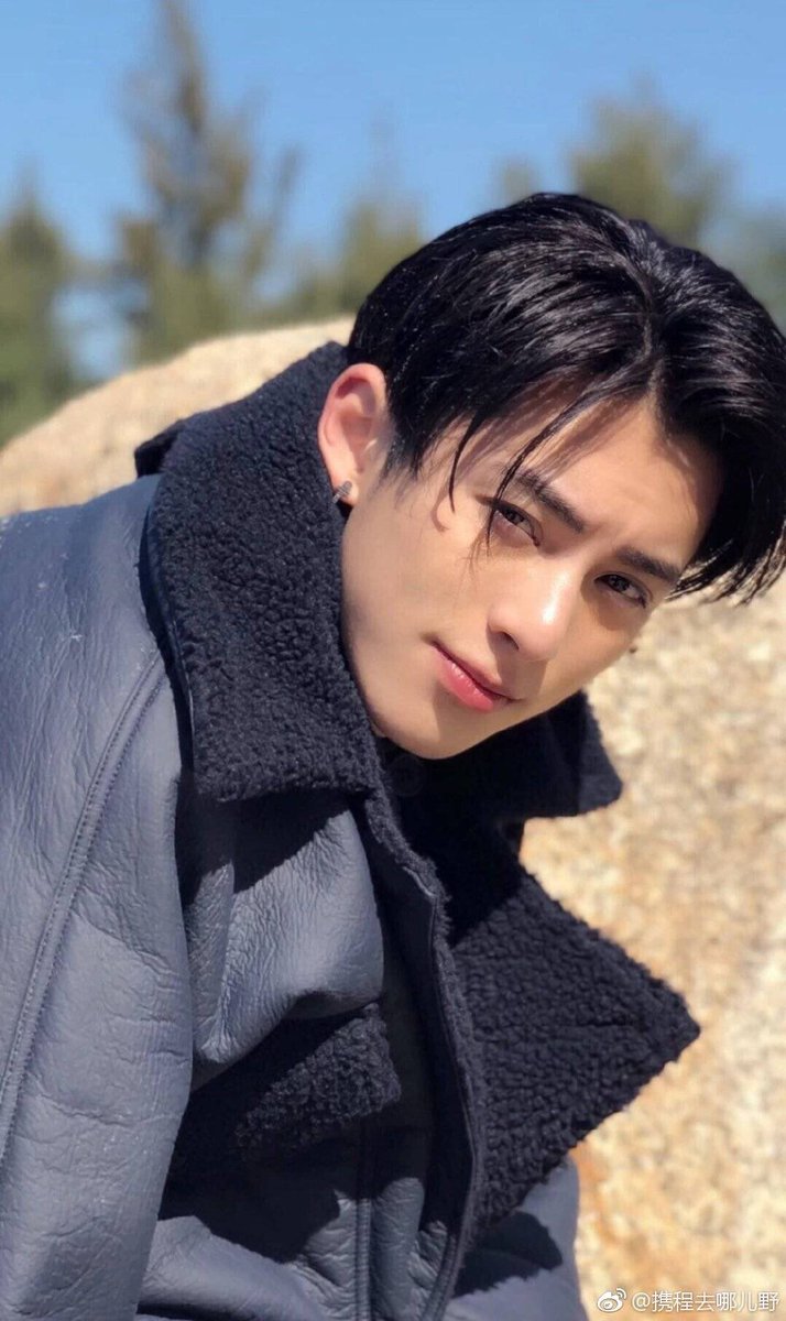 Portfolio – Dylan Wang'S Fan Site