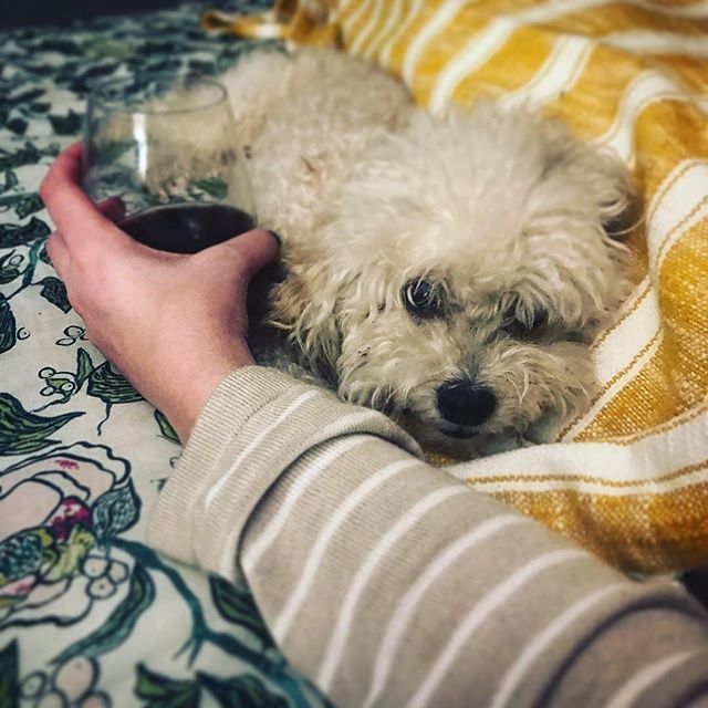 Thursday night with a good friend and ⚡️wine. 
___
#lightningwines #grenachelove bit.ly/2FrW7Au