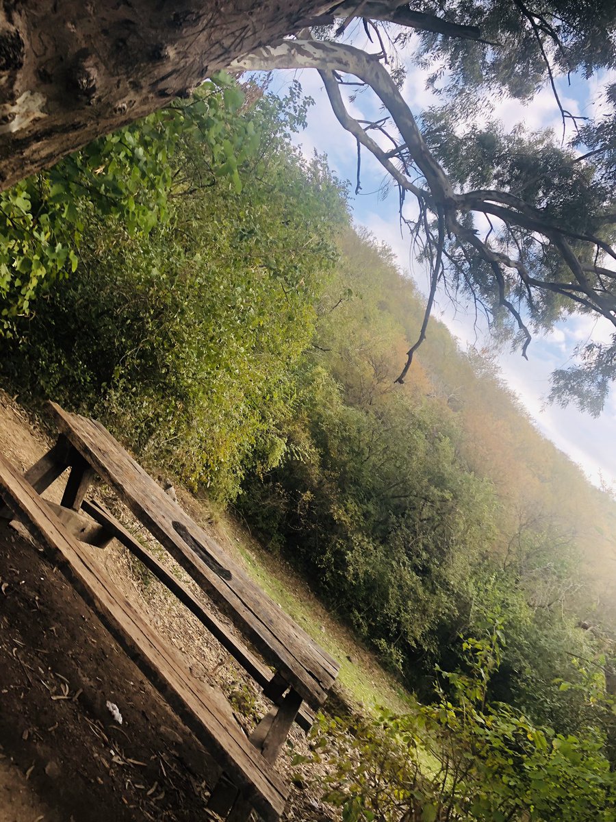 aminattock's tweet photo. Nothing like a morning walk in #MargallaNP after night rain - caught site of wild boars https://t.co/mN935JVe54