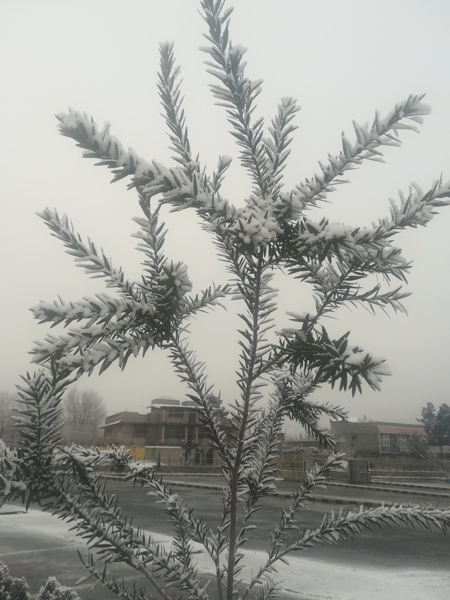 arafatglt's tweet photo. #SnowFalling @ #Gilgit_City https://t.co/07i7Bisur8