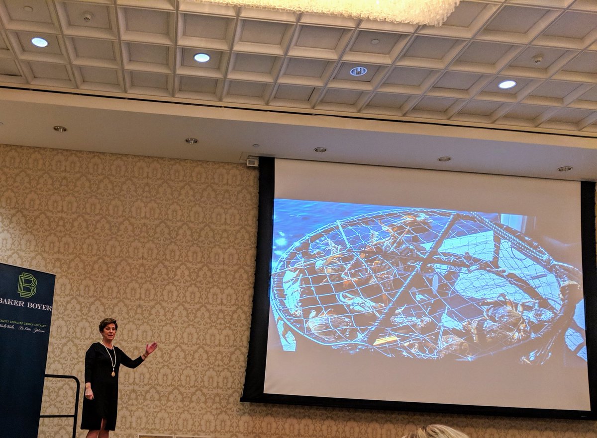 wadsomoney's tweet photo. Don't be the crab in the crab pot yanking the others back down just before they're about to escape.  #financialempowerment #SupportEachOther #bakerboyerbank #connectionsmatter https://t.co/GNuS4nFIpo