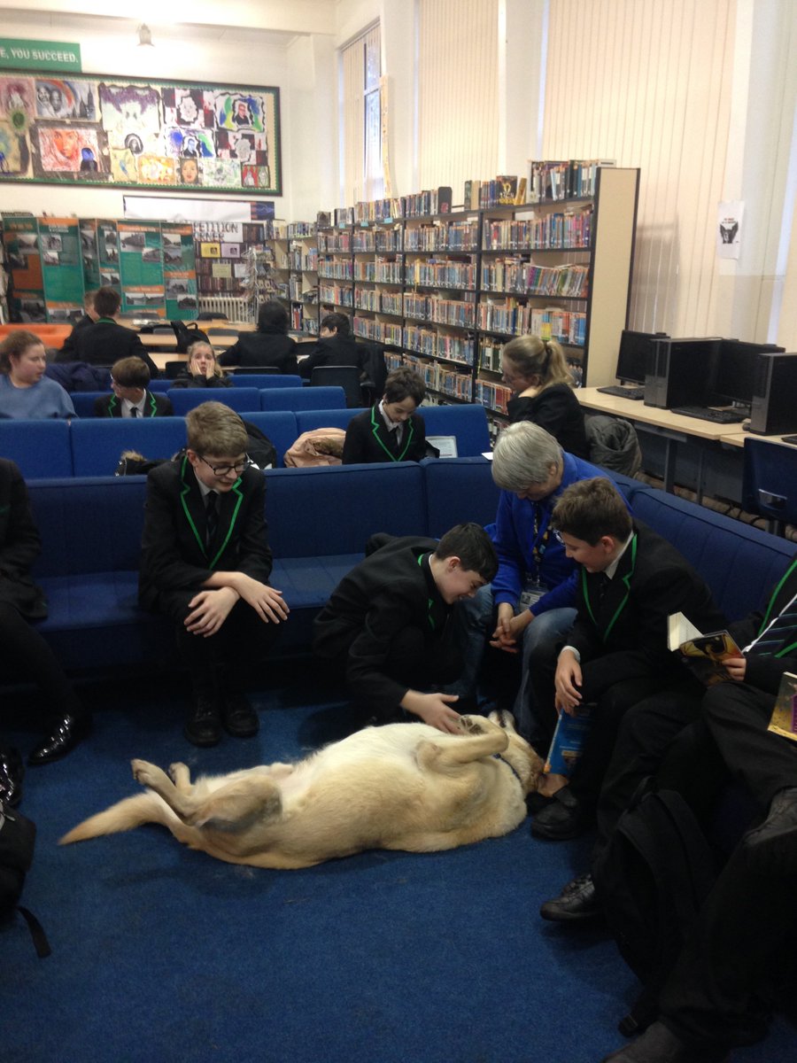 GeorgeEliotLib's tweet photo. Guess who's coming to visit again? Ludo will soon be relaxing in the Library and working with pupils to maintain wellness.
#MATalk https://t.co/ts63YfHq0f