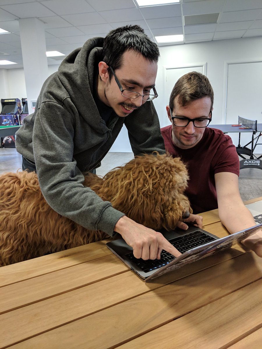 Space48ers's tweet image. No smelly code here! #cockerpoo #codesniffer quality control