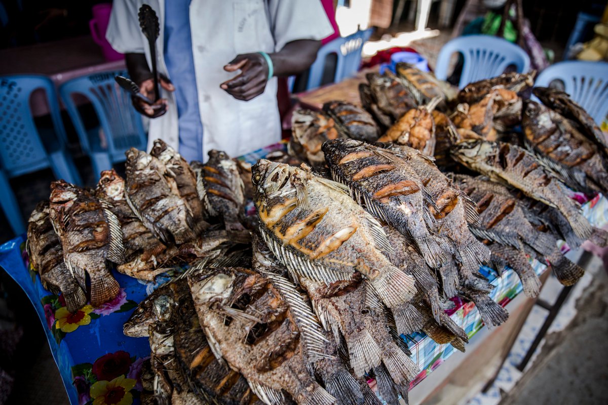 FAOfish's tweet photo. #Fish market in #Kitale, #Kenya. #Fisheries #Aquaculture #Livelihoods #BlueGrowth #SDG14 https://t.co/yYJf8l2n4b