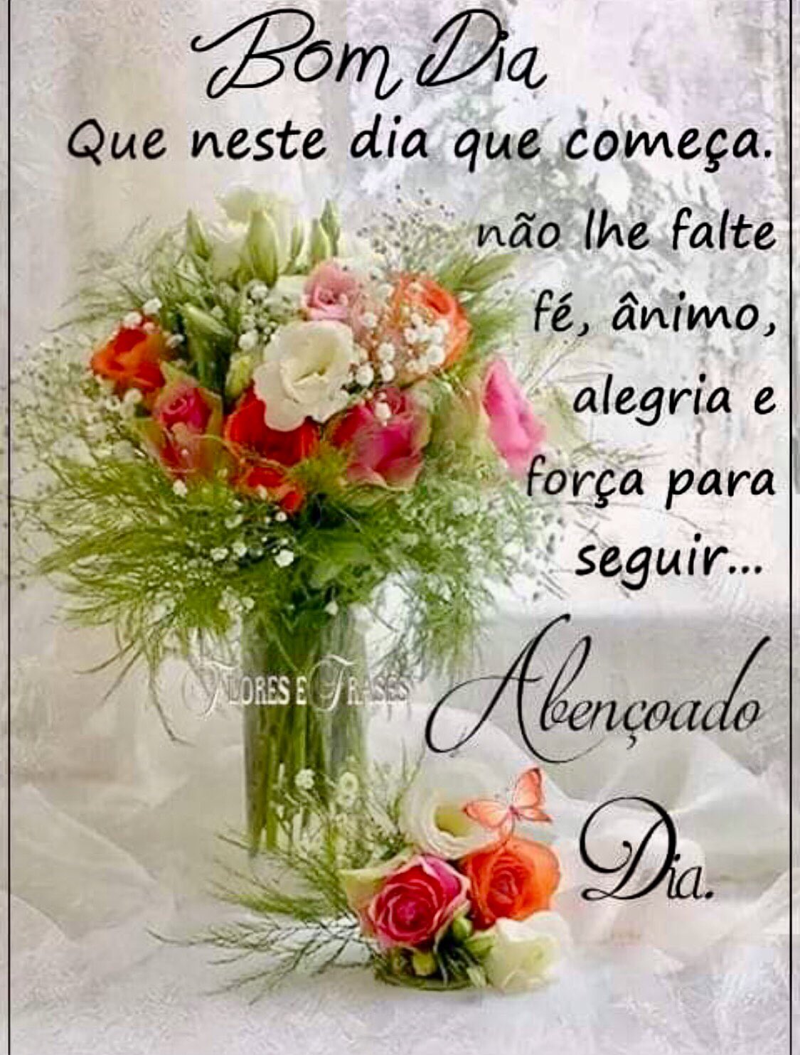 sueli ribas 🎒❤️🇧🇷🙏 on Twitter: sueli ribas 🎒❤️🇧🇷🙏 on Twitter: