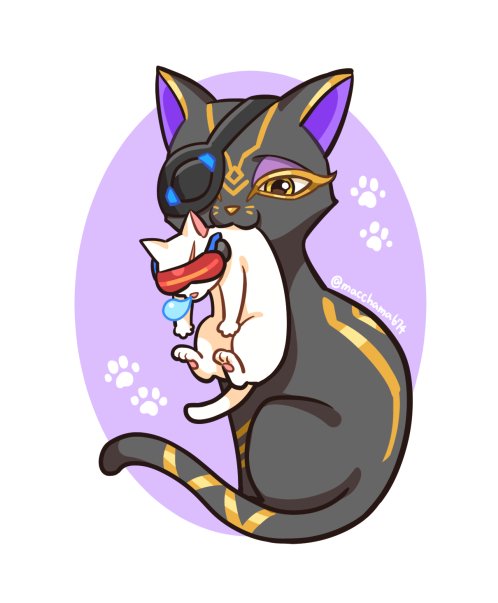 macchama674's tweet photo. そなたはときどき 子猫のよう https://t.co/vs2v3K89Ex