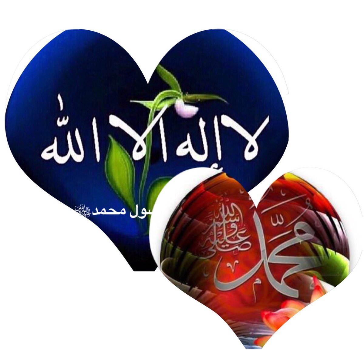 احباب الرسول محمد ﷺ tweet media
