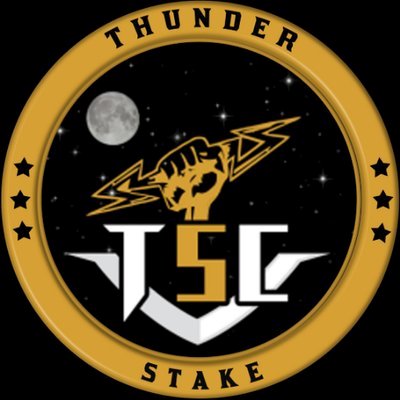ThunderStake Coin tweet media