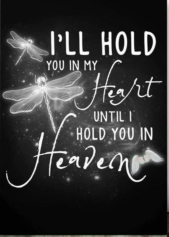 jacks_rainbow's tweet photo. These words are close to my heart
#bereavedmummy #Griefmatters #grief #grieving #hope #hopeinmyheart #bereavement #yayitsfriday https://t.co/dio9RRZGMG