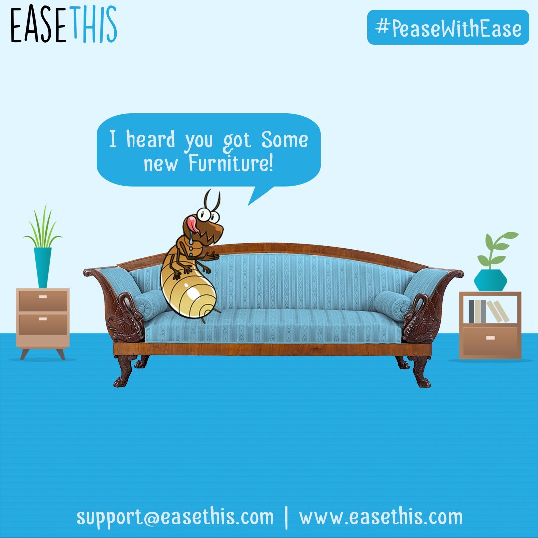 easethisIndia's tweet photo. An exciting day in the life of Termites and not so exciting for your belongings. #PeaseWithEase #PestControl https://t.co/0gjdldTrKz