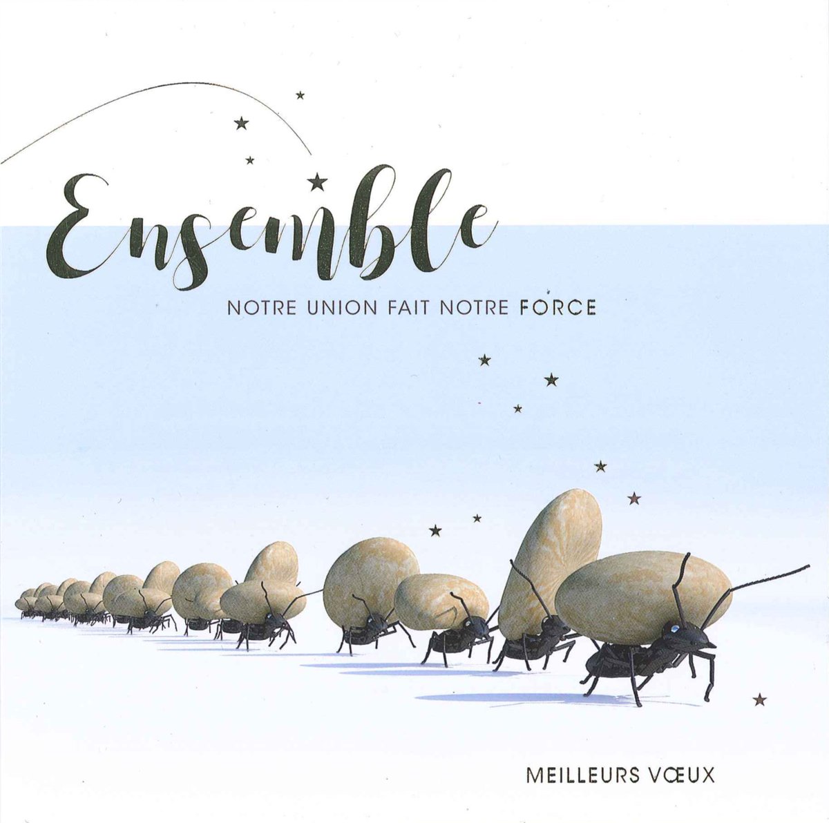 Toutes les équipes d'Analyse &amp; Action vous souhaitent une excellente année 2019!