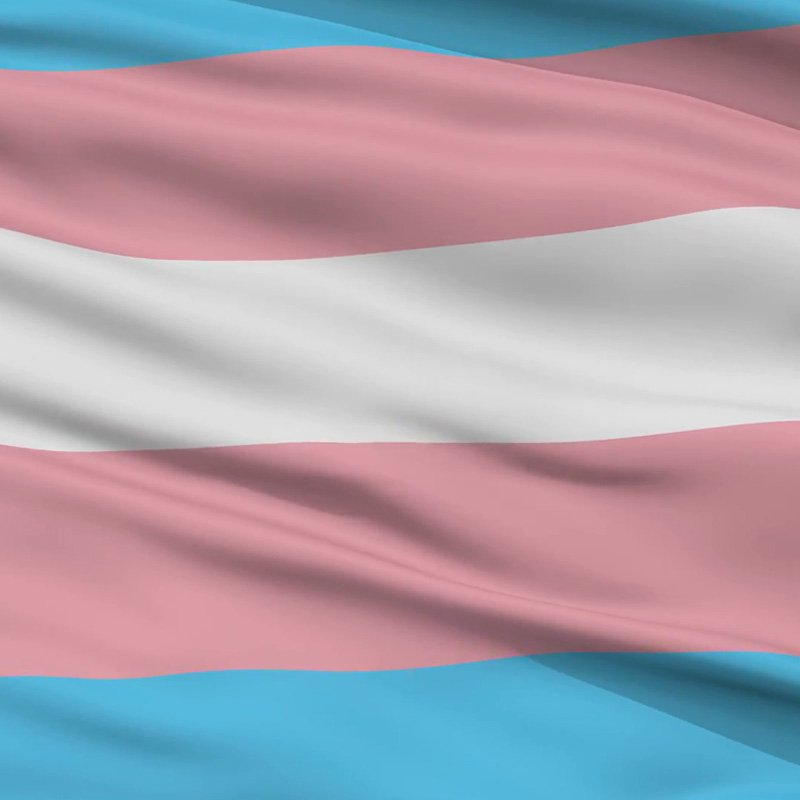 Johnnydart150's tweet image. I support Transgender Comunity play.google.com/store/apps/det…