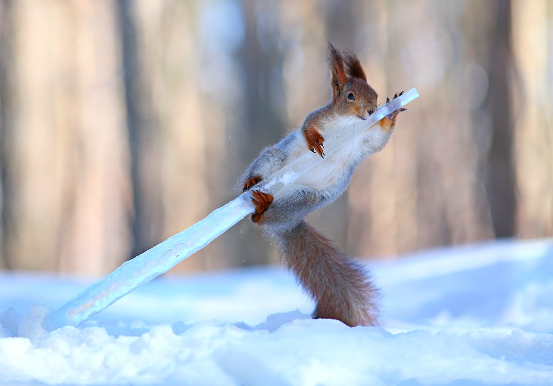 Good morning dear friends. Have a happy Friday and a beautiful weekend. ⛅️😉☕️
❄️❄️❄️
Photo model from Vadim Trunov.