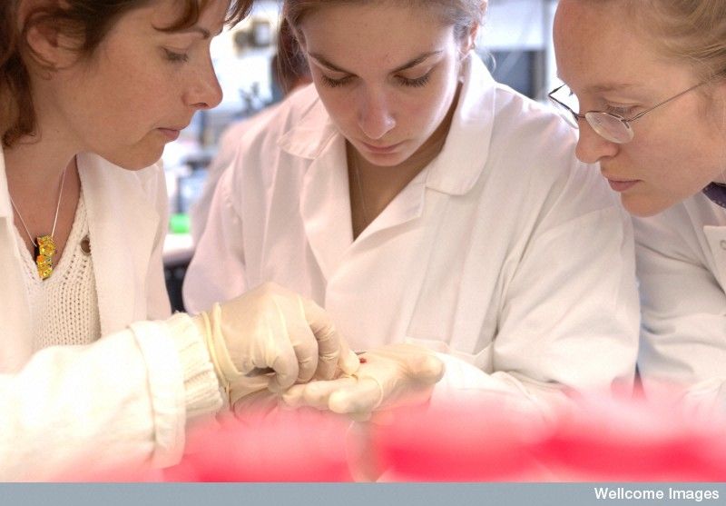PhySoc's tweet photo. Undergraduates: looking for some paid work experience &amp; a chance to taste real research? Take a look at our Summer Studentship Scheme, which is offering up to £1,600 to carry out an 8-week research project this summer. Applications close on 17 February! https://t.co/lZgiWR4pBP https://t.co/5BDP7Qj88J