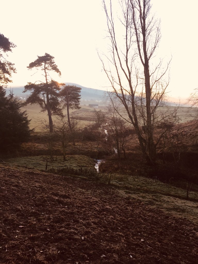 katelmcampbell's tweet image. Before any work can be done the animals have to be fed and I need to stock up on hay and straw. Not a bad way to start the day though! #smallholding #whentowrite #farmanimals