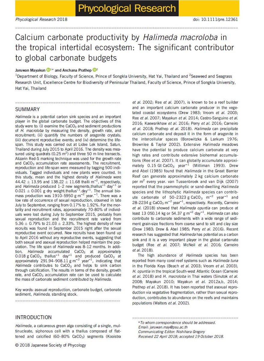 SSRU_PSU's tweet photo. Fainally it released !!! New plublication from our lab. @JMayakun #Halimeda #seaweed #carbonsink #carbonate #Ecosystems https://t.co/gg3Rq2rT4Q