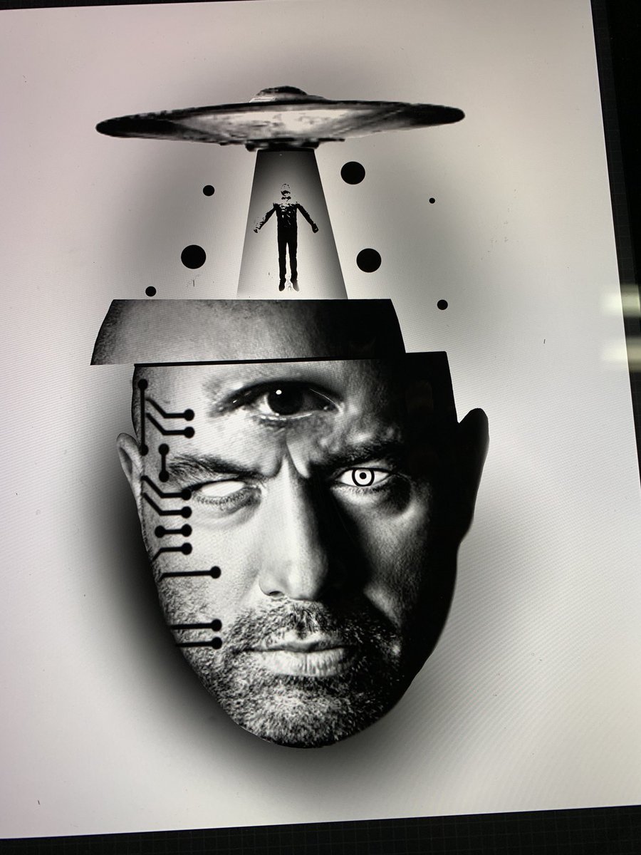 Kane Tolle tweet media