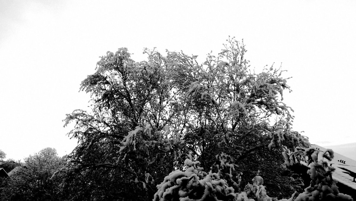 gregorfroehlich photo