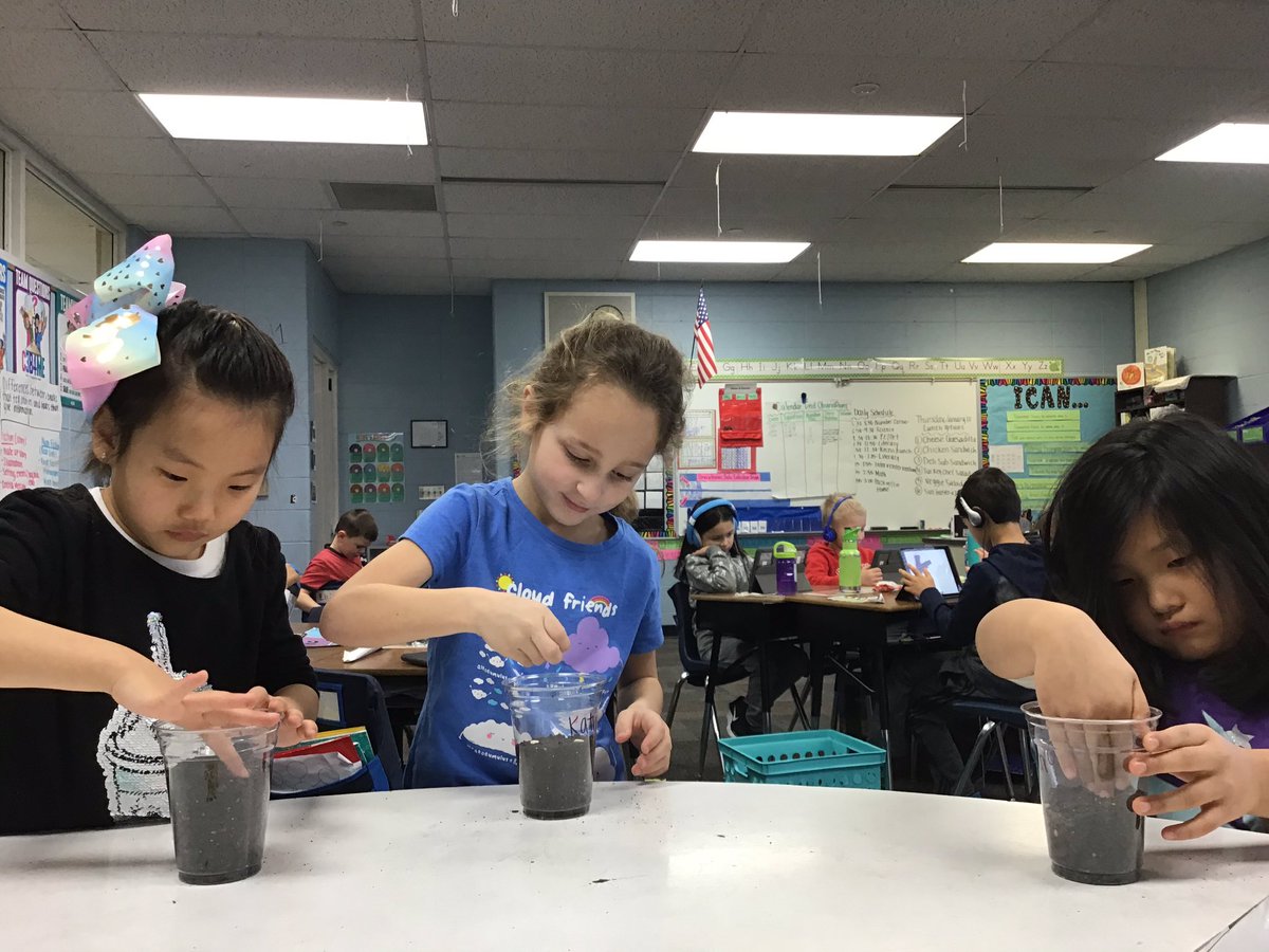 sgomberg15's tweet image. We each planted Lima bean plants in Science! What a fun day! #inspire96 #tciscience