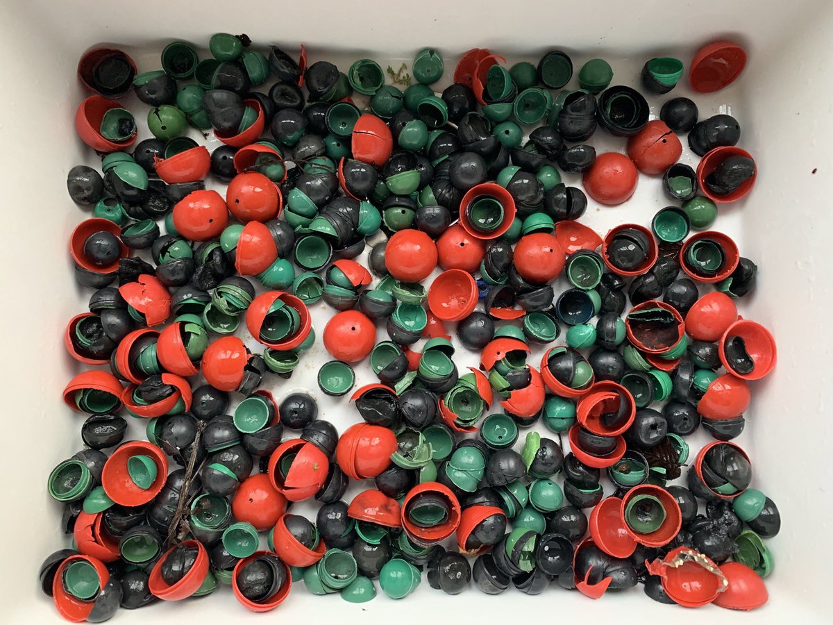 Vandaag weer een paarhonderd stuks echt wegwerpplastic opgeraapt voor operatie #knetterbal. Doet de EU of de Nederlandse regering niks tegen. Mag gewoon verkocht. Valt ook niks aan te recyclen als ze op straat of in het water liggen. Met je circulaire economie. <a href="/Leefomgeving/">PBL</a>