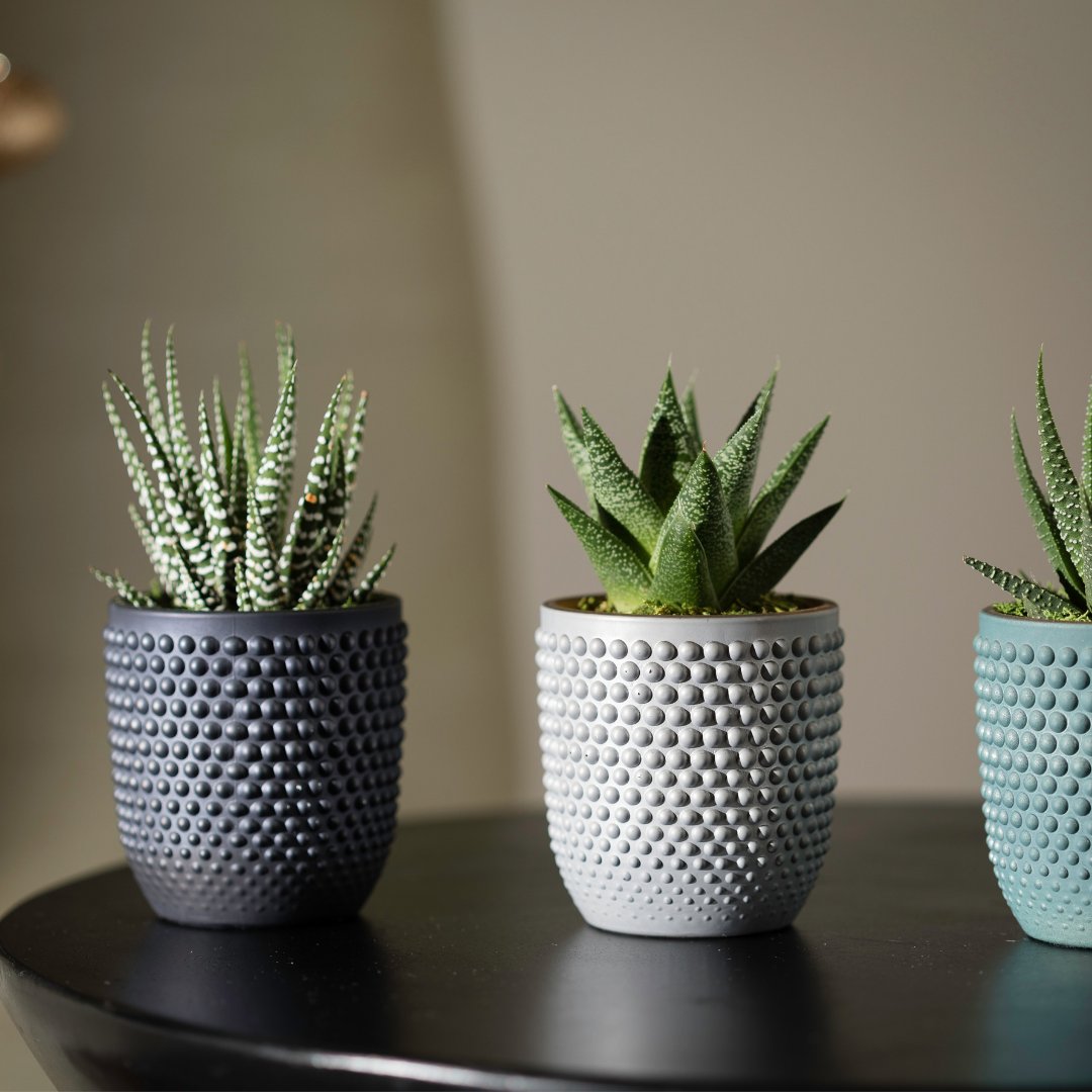 LiveTrends Design tweet media