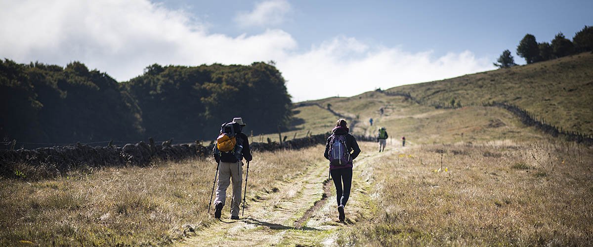 Seconde partie de notre reportage sur la voie "royale" du Puy-en-Velay : le célèbre #GR65 ! Aujourd'hui, entre l'Aubrac et Conques. 

À lire ici : ➡️ bit.ly/2Cecb5w 

#conques #aubrac #lozere #aveyron #compostelle