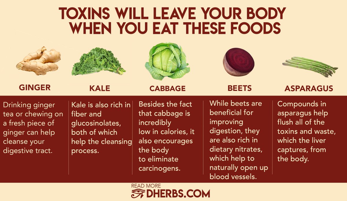 Dherbs Full Body Cleanse Food List Doctor Heck dherbs-full-body-cleanse-food-list-doctor-heck