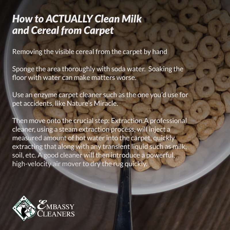 EmbassyCleaners's tweet photo. If you have a spill or stain, and you want to remove it from your carpet properly, remember to make sure that not only do you do what is necessary to clean the area initially, but you also extract the moisture. 

To learn more, visit:
https://t.co/Mk6G5bgAAT https://t.co/6n0DDXF3yI