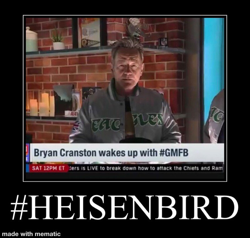 Flip_adelphia's tweet photo. #HeisenBird https://t.co/SKIZj2l7zo