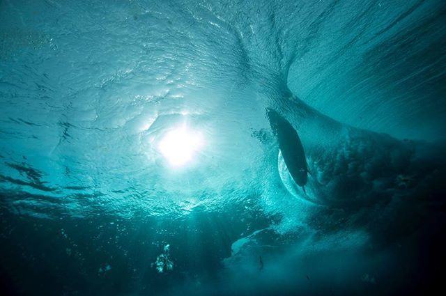 IONactionsports's tweet image. ::: Happiness comes in tides 🌊 @acriere 📸by @marioentero #ionaction #ionwater #surf #surflife #surfari #surfingelements #unitedbystoke bit.ly/2AFAl8Q